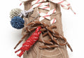 Atlas Mushroom Suede Sneakers - lace detail closeup